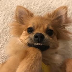 Meet your Posher, Jill